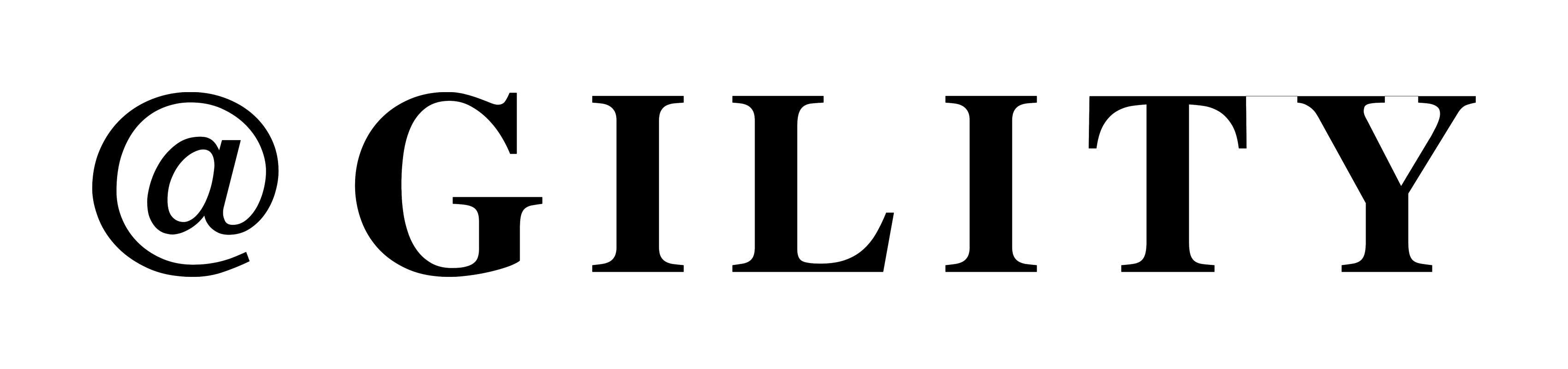 Agility Software Solutions, LLC